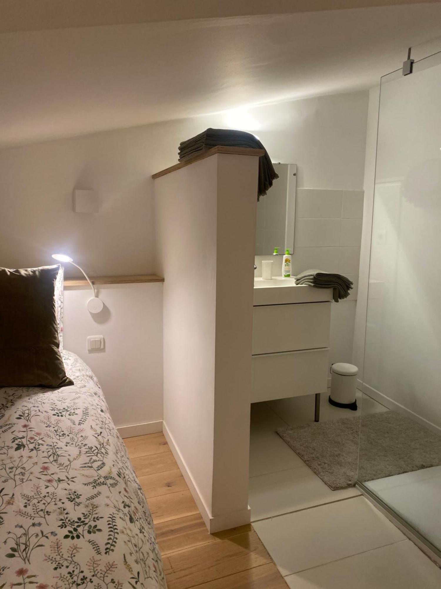 Duplex Aux Carmes Apartment ตูลูส ภายนอก รูปภาพ