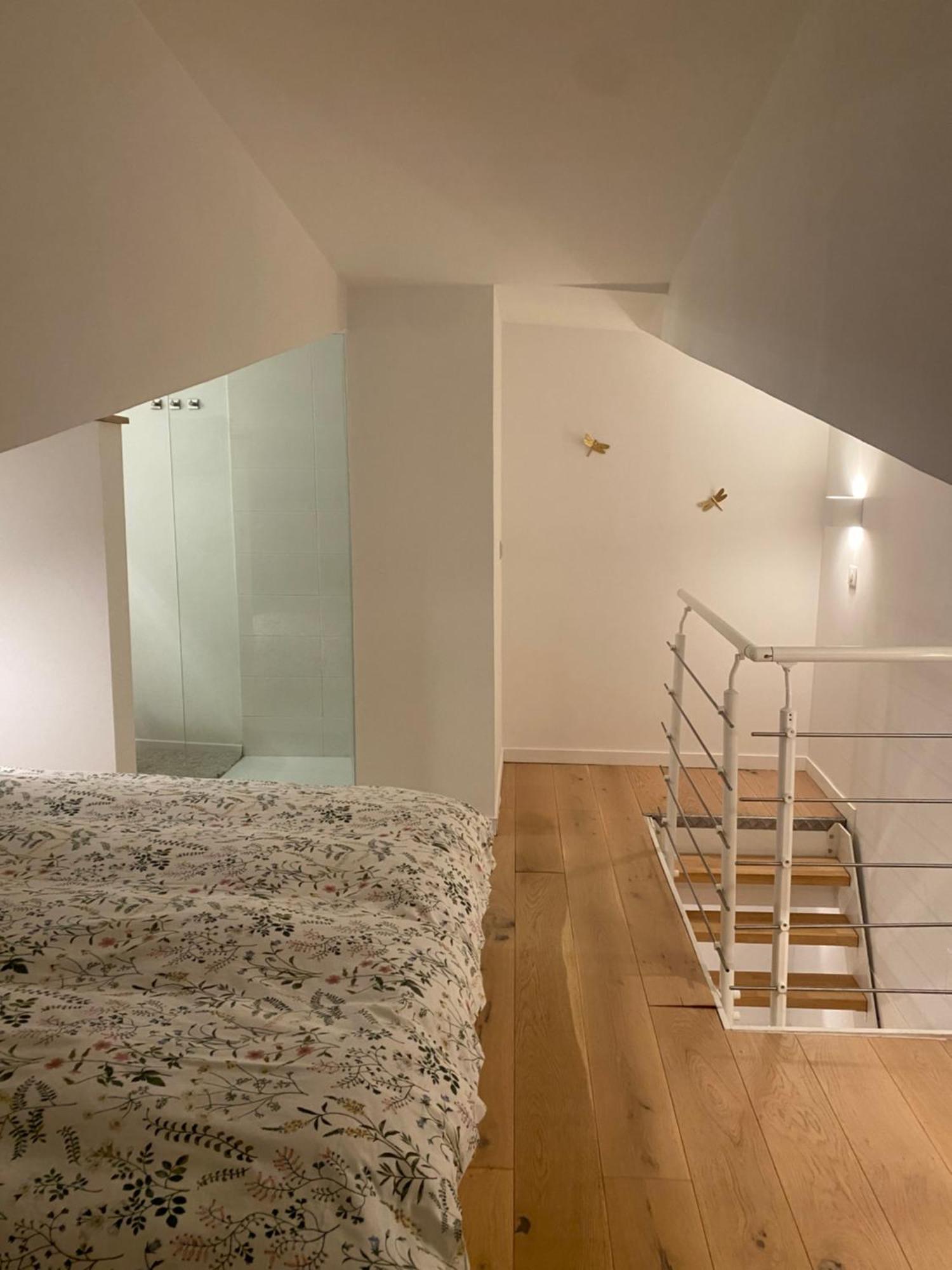Duplex Aux Carmes Apartment ตูลูส ภายนอก รูปภาพ